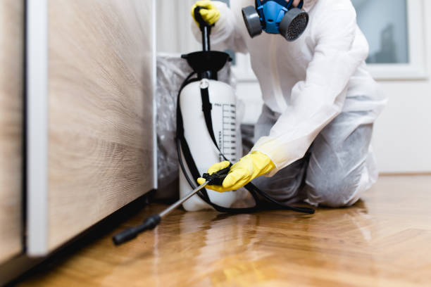 Trusted Hurley, MS Pest Control Experts
