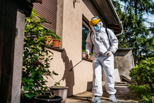 Best Bed Bug Extermination  in Hurley, MS