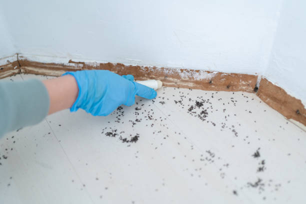 Best Pest Control for Businesses  in Hurley, MS